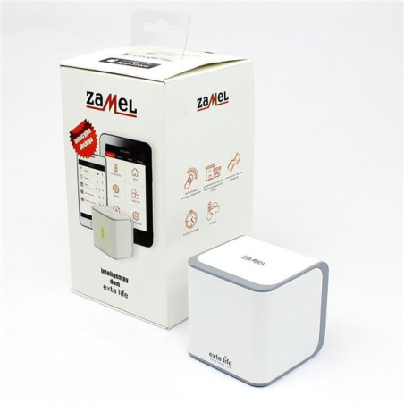 Kontroler EXTA LIFE typ EFC-01 ZAMEL