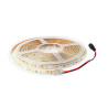 Taśma uniwersalna 300 LED 3528 24W 12V 5m ciepły biały 121471 LIGHTECH