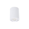 Oprawa downlight ORTAL regulowana 1x50W GU10 biała C23-DLO-AR-GU10-150-WH BEMKO