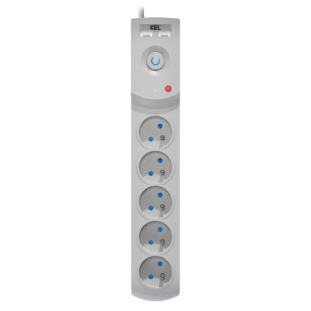 Przedłużacz z filtrem 5-GN+2xUSB 3m szary AX5/PRO/USB/3M/SZARY W-100041 Kel Plastrol